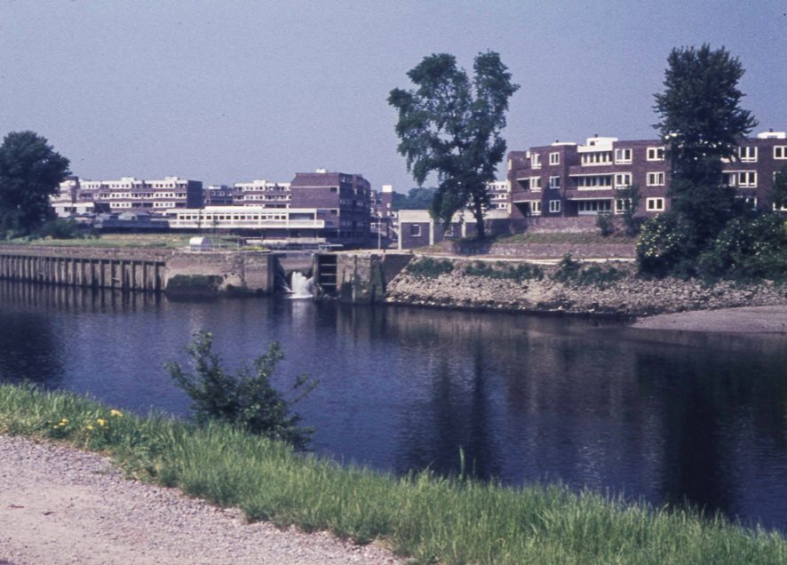 Brentford Dock flats